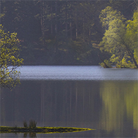 Loch Ard